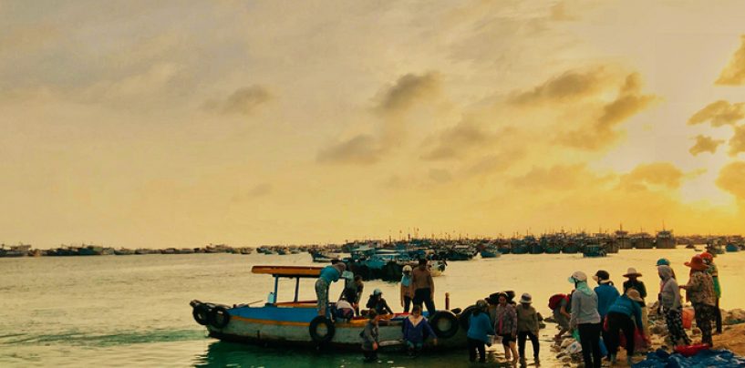 Buổi sáng nhộn nhịp đón thuyền cá về bờ ở Cù Lao Thu