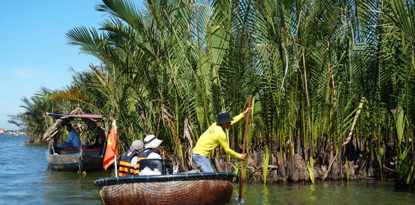 Rừng dừa Bảy Mẫu, miền Tây sông nước tại Hội An