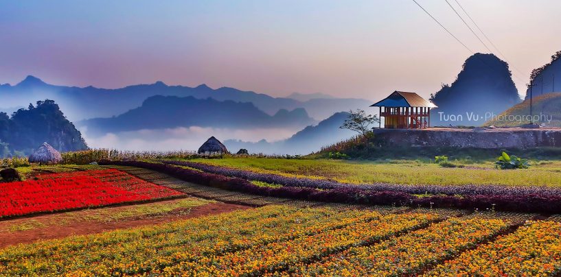 Bình nguyên xanh Khai Trung, vẻ đẹp tiềm ẩn của đất Lục Yên