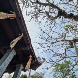 Đến Núi Voi thăm thú chùa Long Hoa