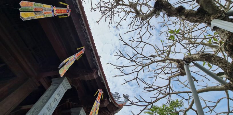 Đến Núi Voi thăm thú chùa Long Hoa