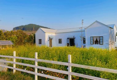 Dream Farmhouse, ngôi nhà nhỏ trên thảo nguyên Mộc Châu