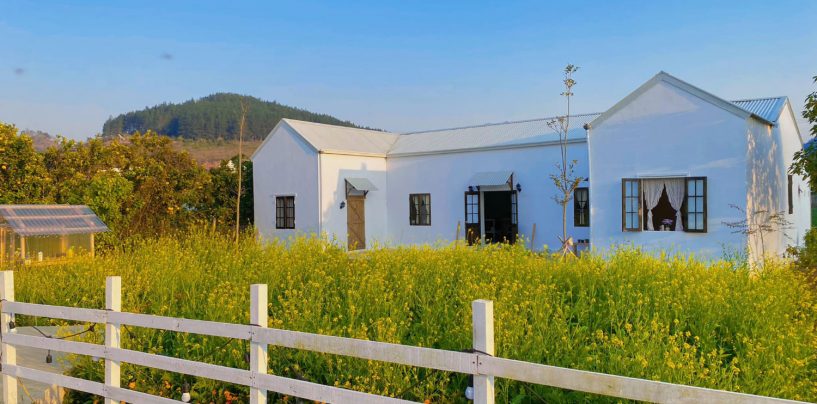Dream Farmhouse, ngôi nhà nhỏ trên thảo nguyên Mộc Châu